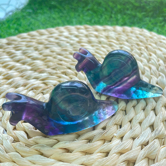 Rainbow Fluorite Snails