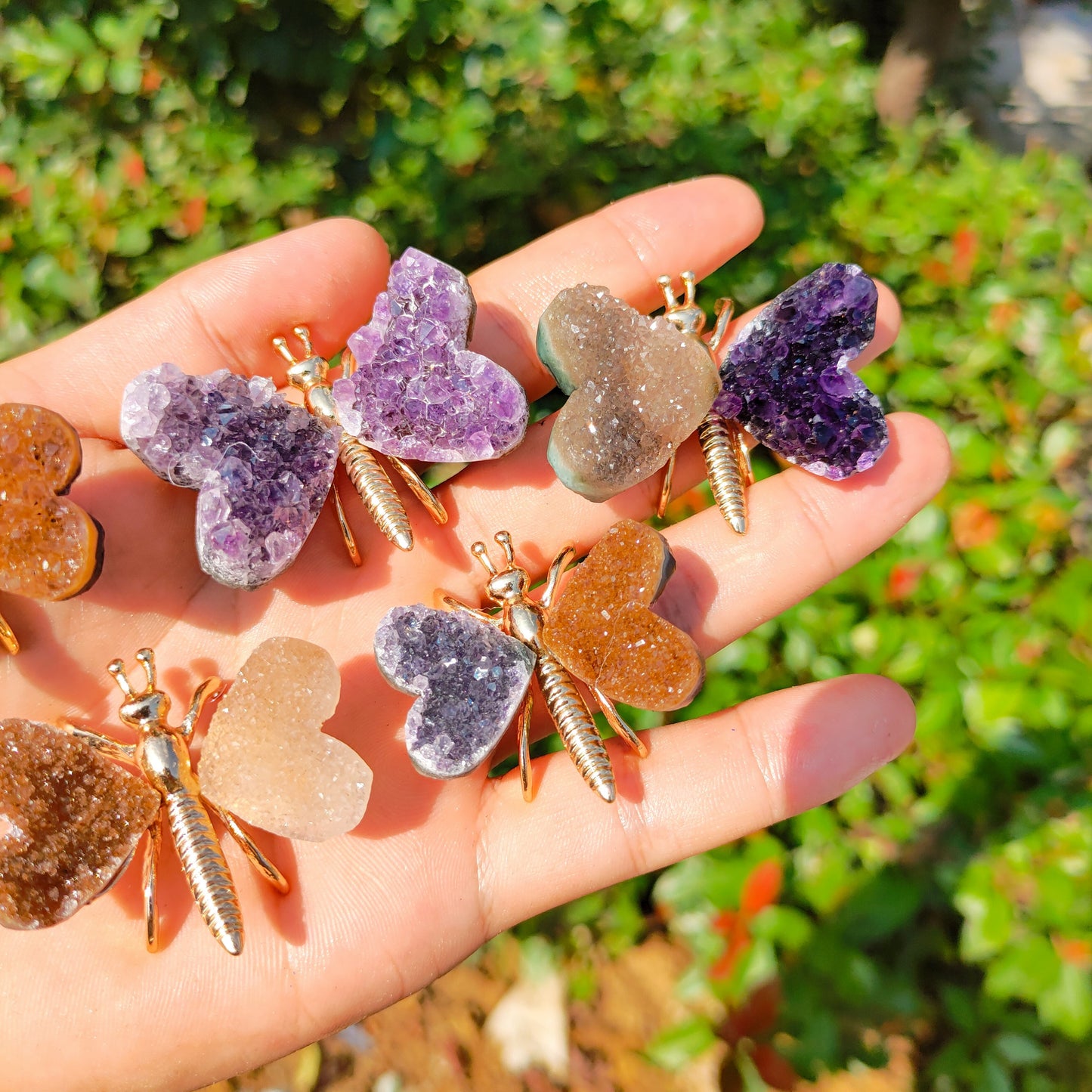 Cluster Butterfly Carvings